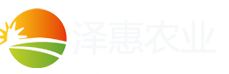 壽光澤惠農業科技有限公司